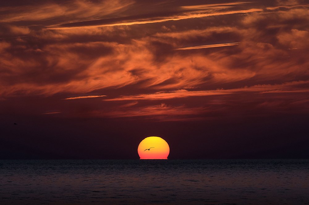 Photograph by Алексей Васин