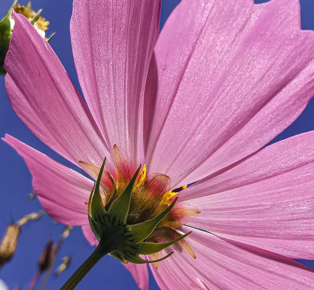 Photograph by Ольга Воронова