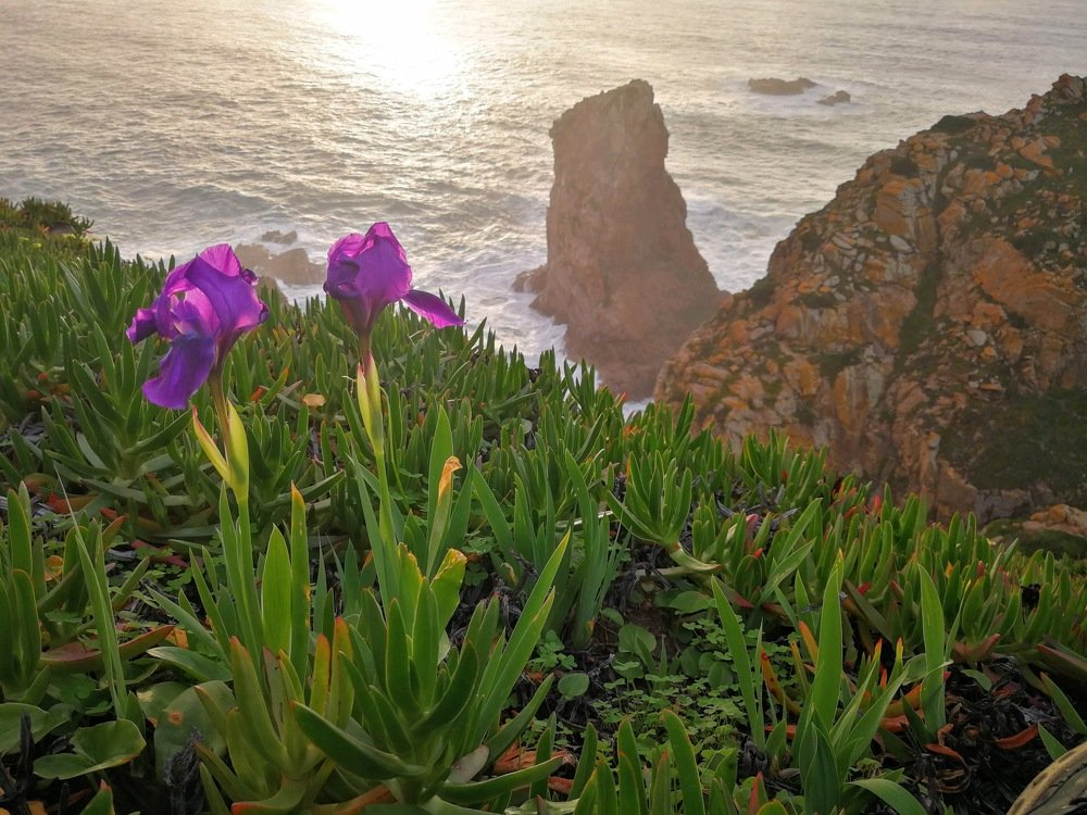 Photograph by Иван Шатный