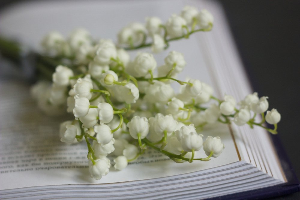 Photograph by Anna Gapanovich