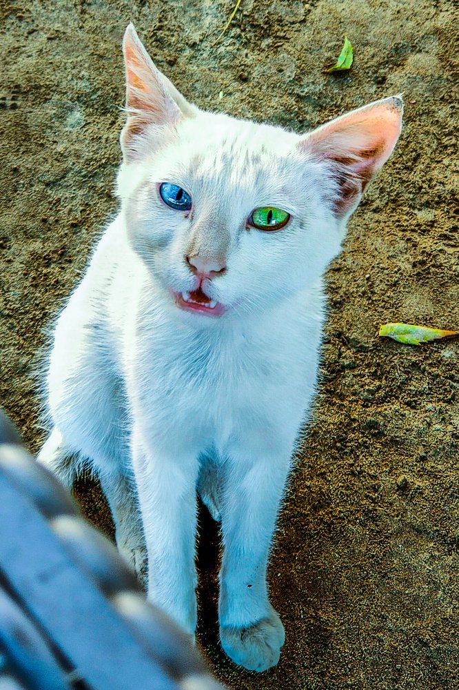 Photograph by Moed Hussain Bugti