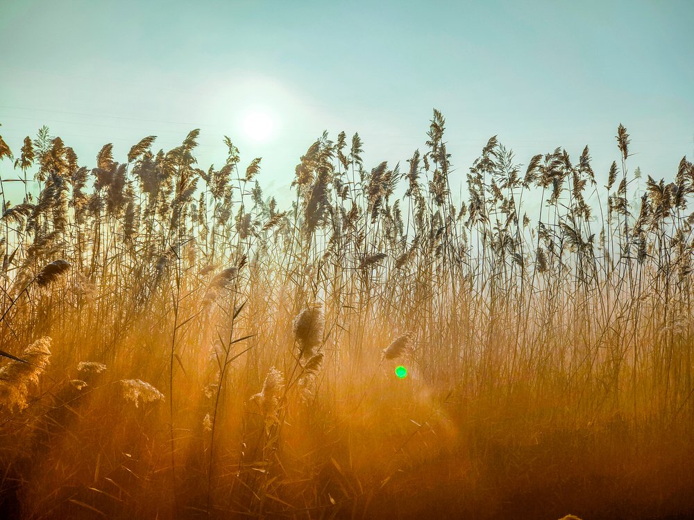 Photograph by Moed Hussain Bugti