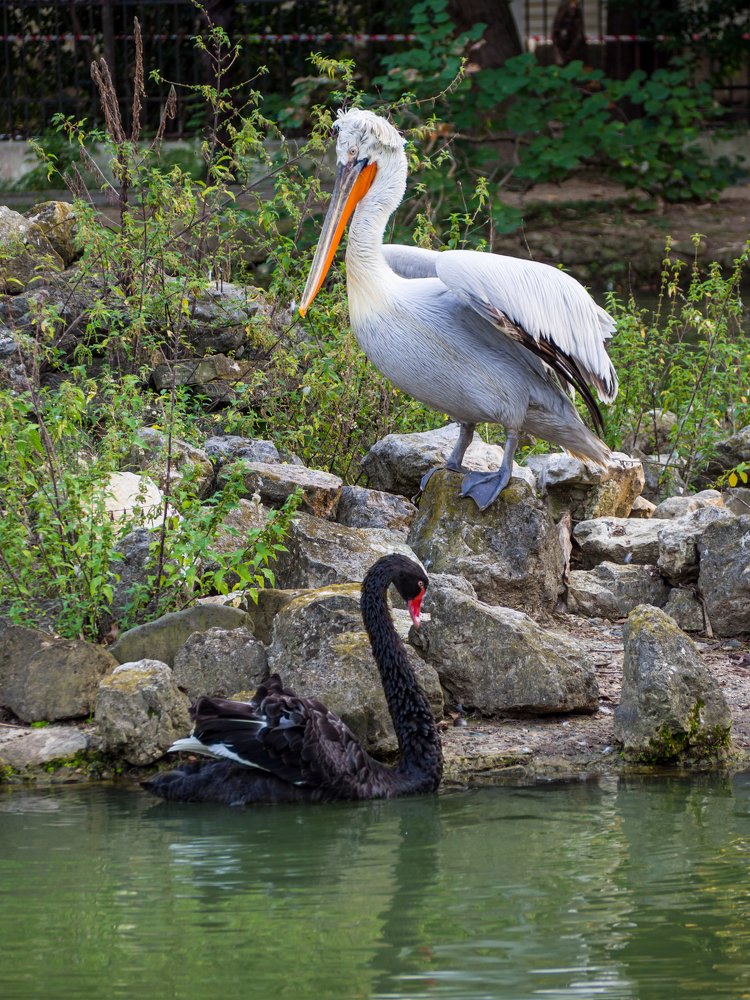 Photograph by Олеся Семенова