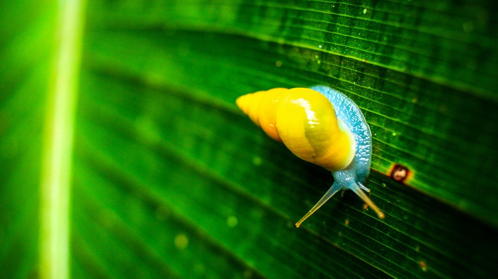 Photograph by Christian Madriz