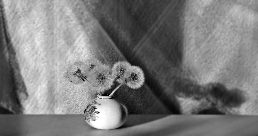 Фотография автора Елена Лицис