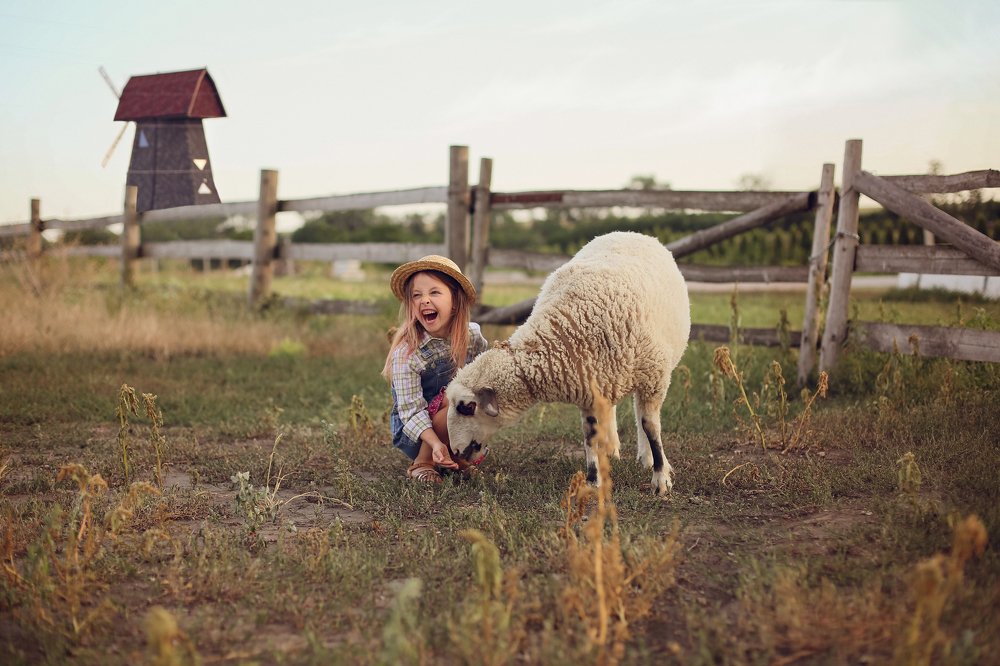 Фотография автора Ксения Сенина