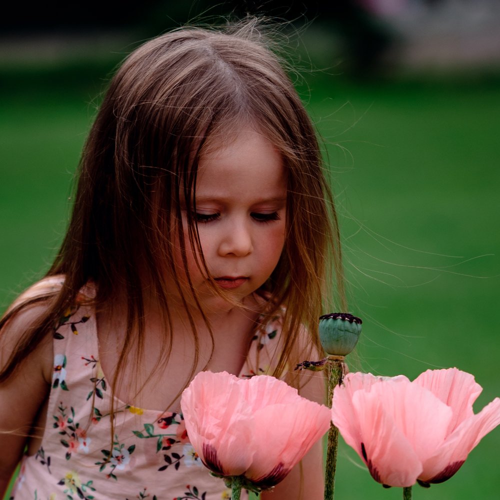 Photograph by Елена Кадо