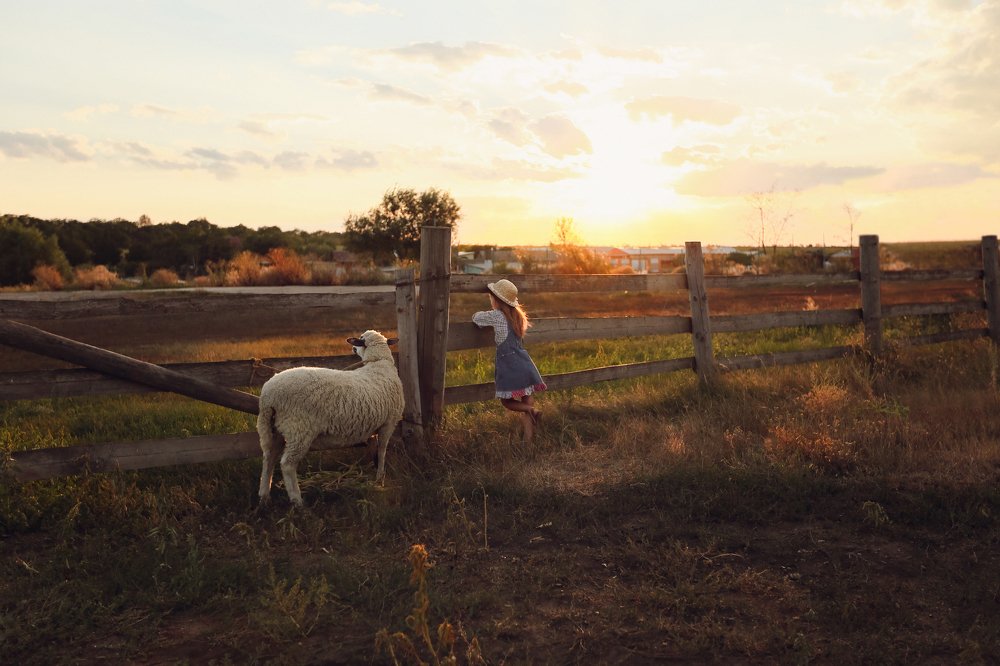 Photograph by Ксения Сенина