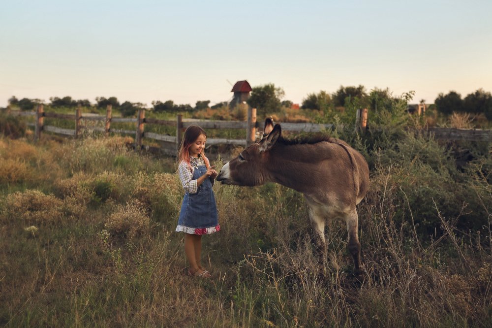Photograph by Ксения Сенина