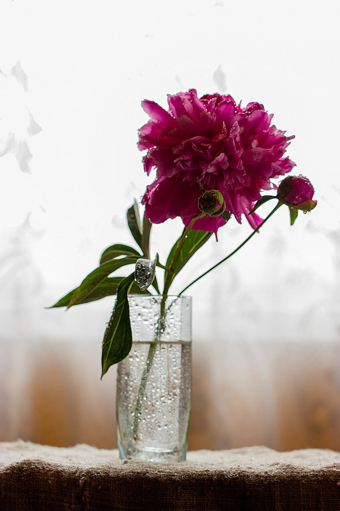 Photograph by Максим Иванов