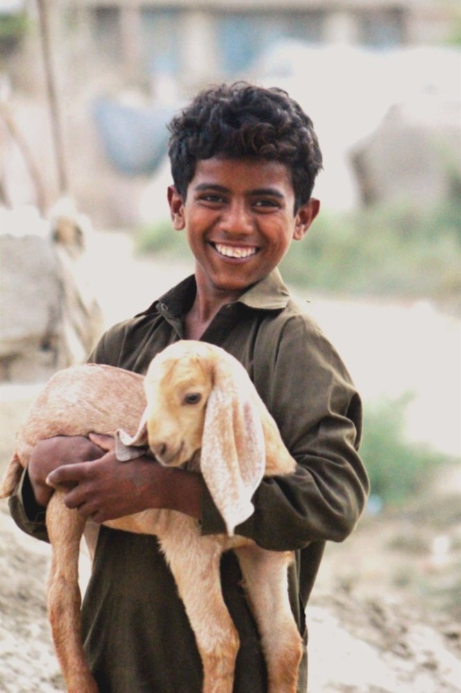 Nothing shakes the smiling heart