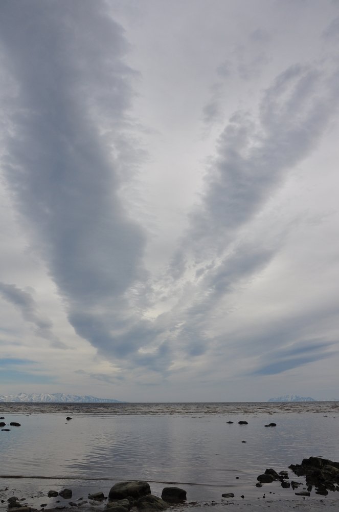 Photograph by Евгений Захаров