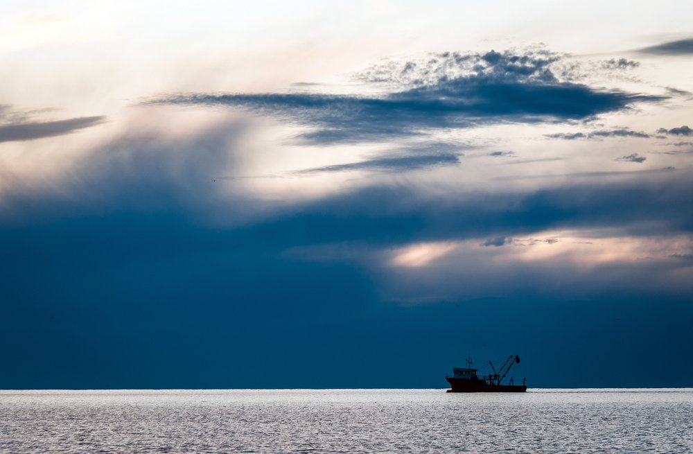 Photograph by Александр Антонов