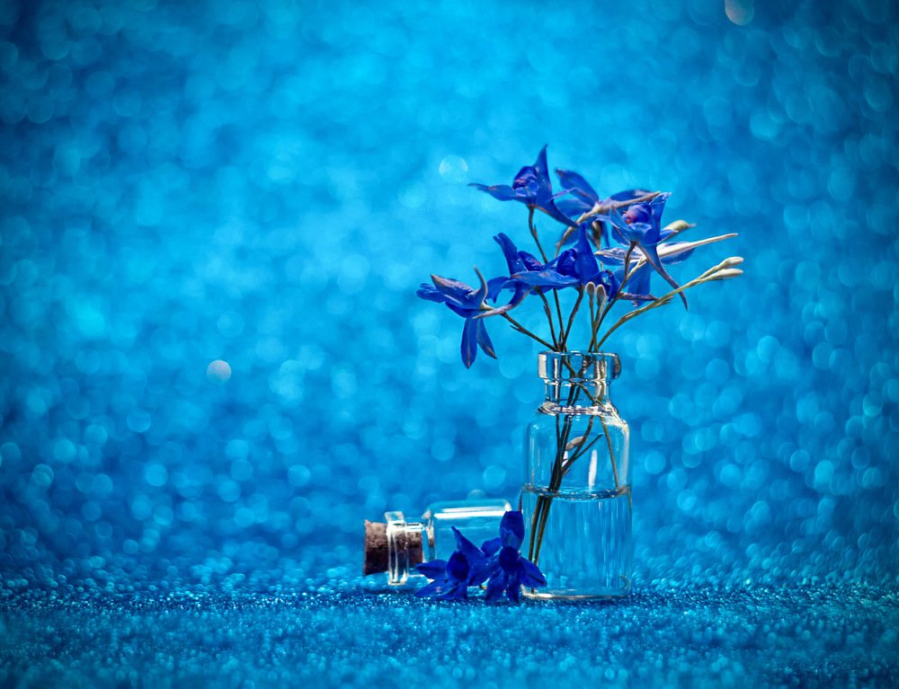 Photograph by Екатерина Потанина