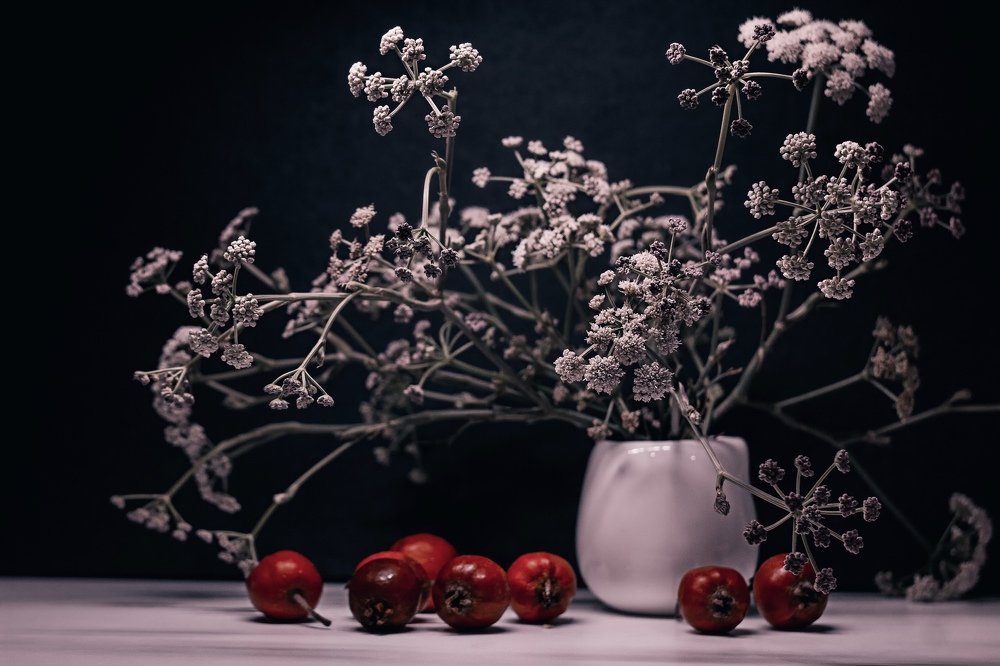 Photograph by Екатерина Потанина