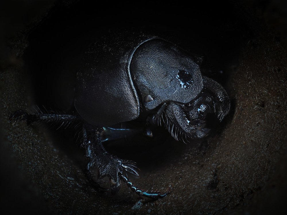 Photograph by Евгений Лукашук