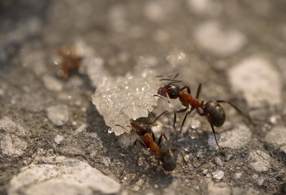 Photograph by Тим Талер