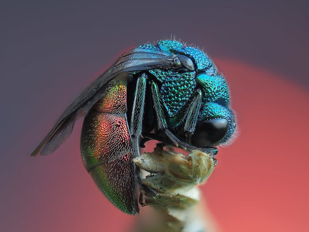 Photograph by Евгений Лукашук