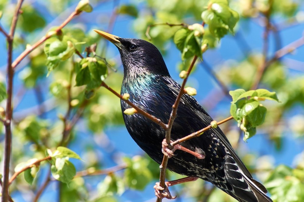 Photograph by Андрей Калинин