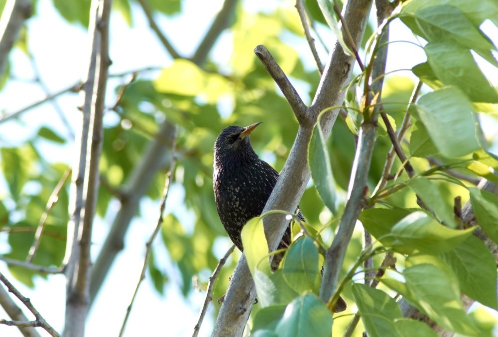 Photograph by Андрей Калинин