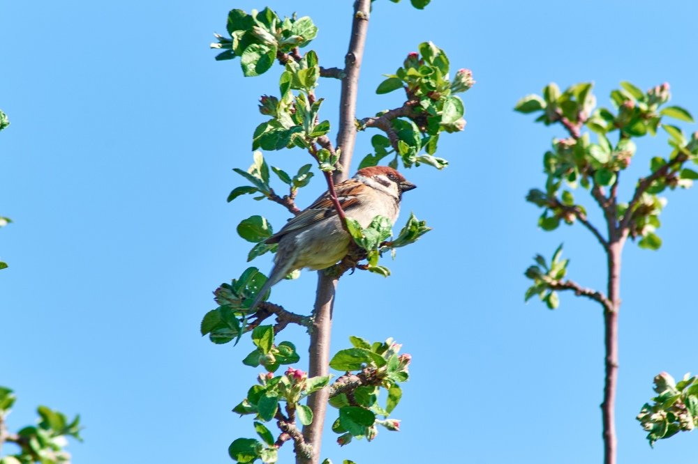 Photograph by Андрей Калинин