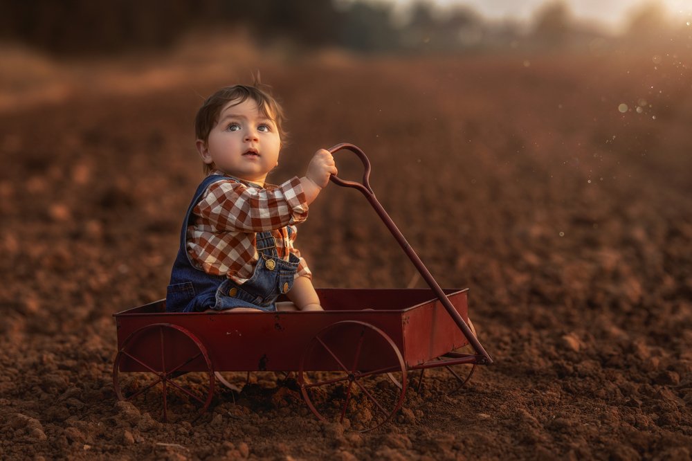 Фотография автора Osher Eden pashinsky