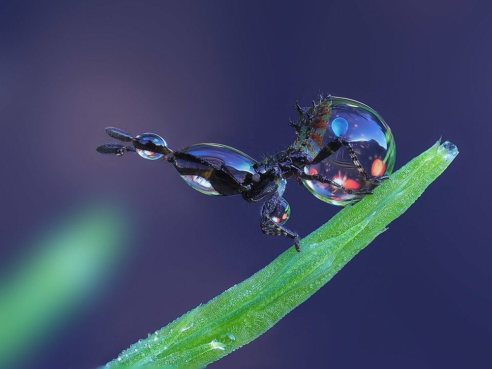 Photograph by Евгений Лукашук