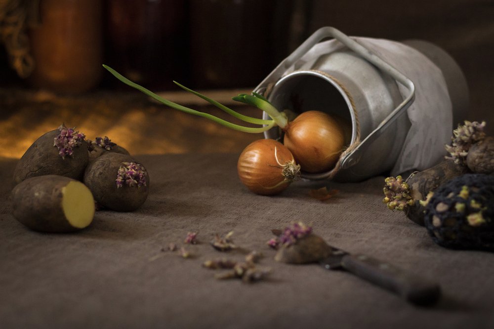 Photograph by Вероника Мищенко