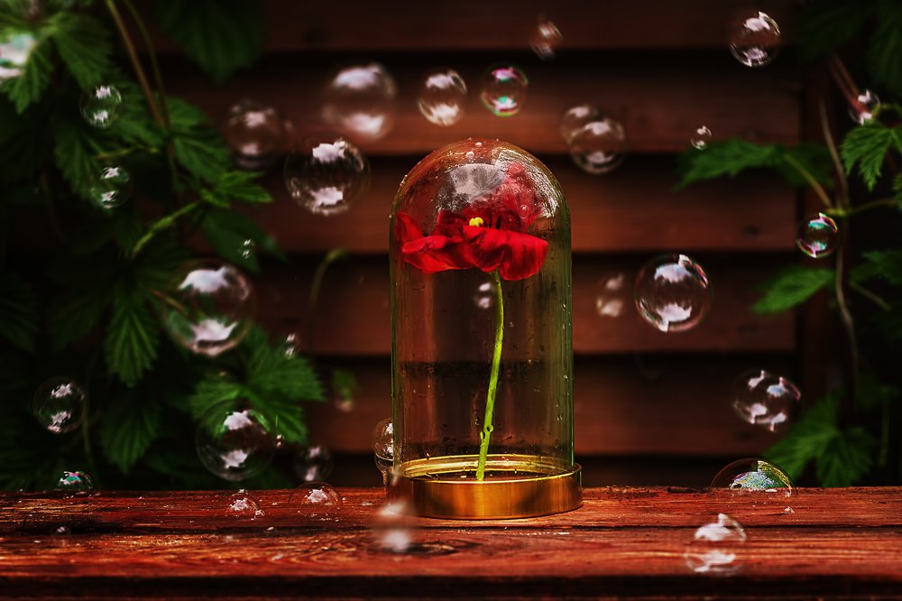 Магия весны