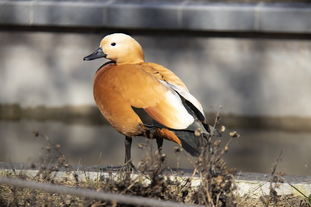 Photograph by Марина Кирпичникова
