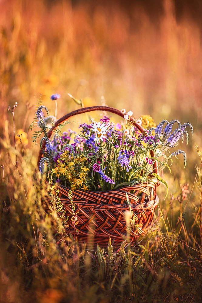 На закате дня