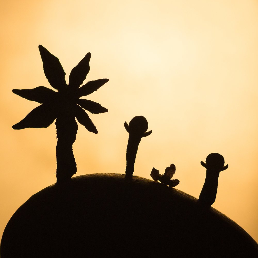 Photograph by Вероника Мищенко