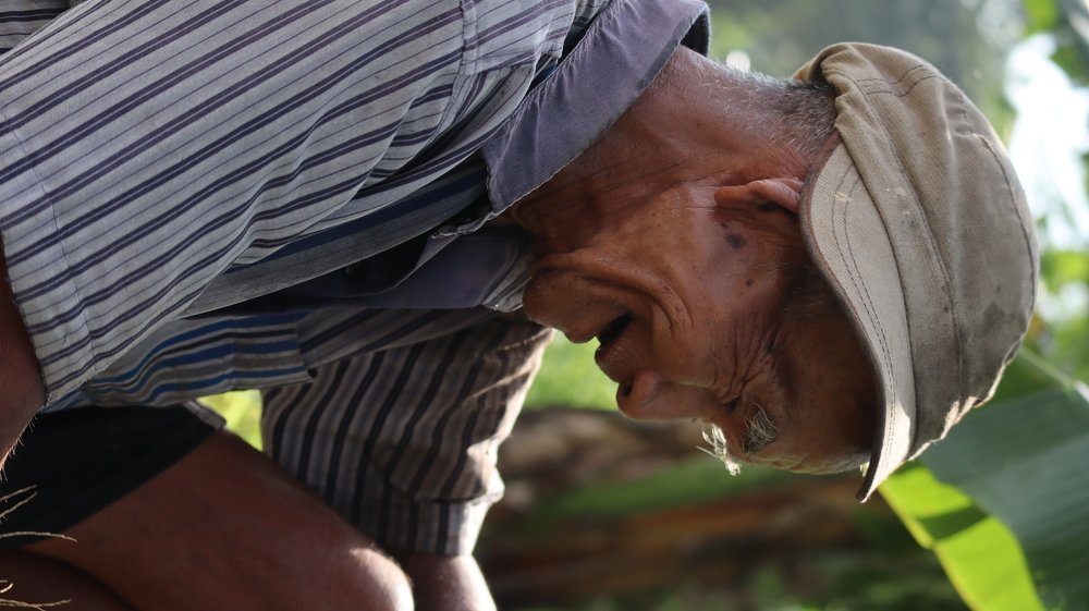 Фотография автора Edi Sutriyono