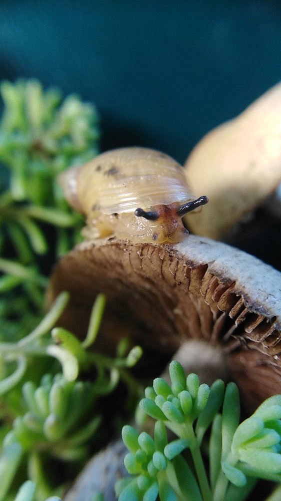 Photograph by Жанна Усатова