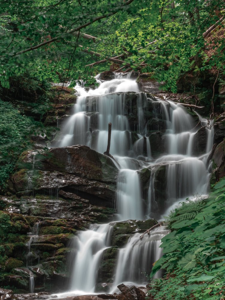 Photograph by Иштван Шандор