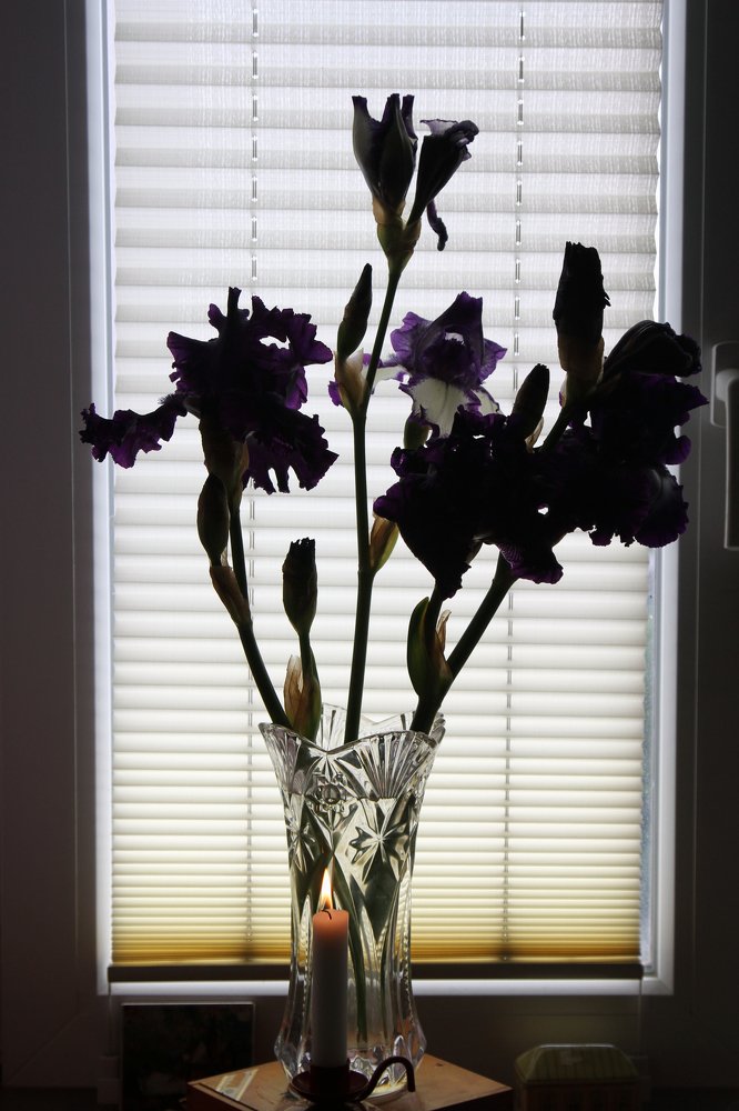 Photograph by Владимир Спиридонов