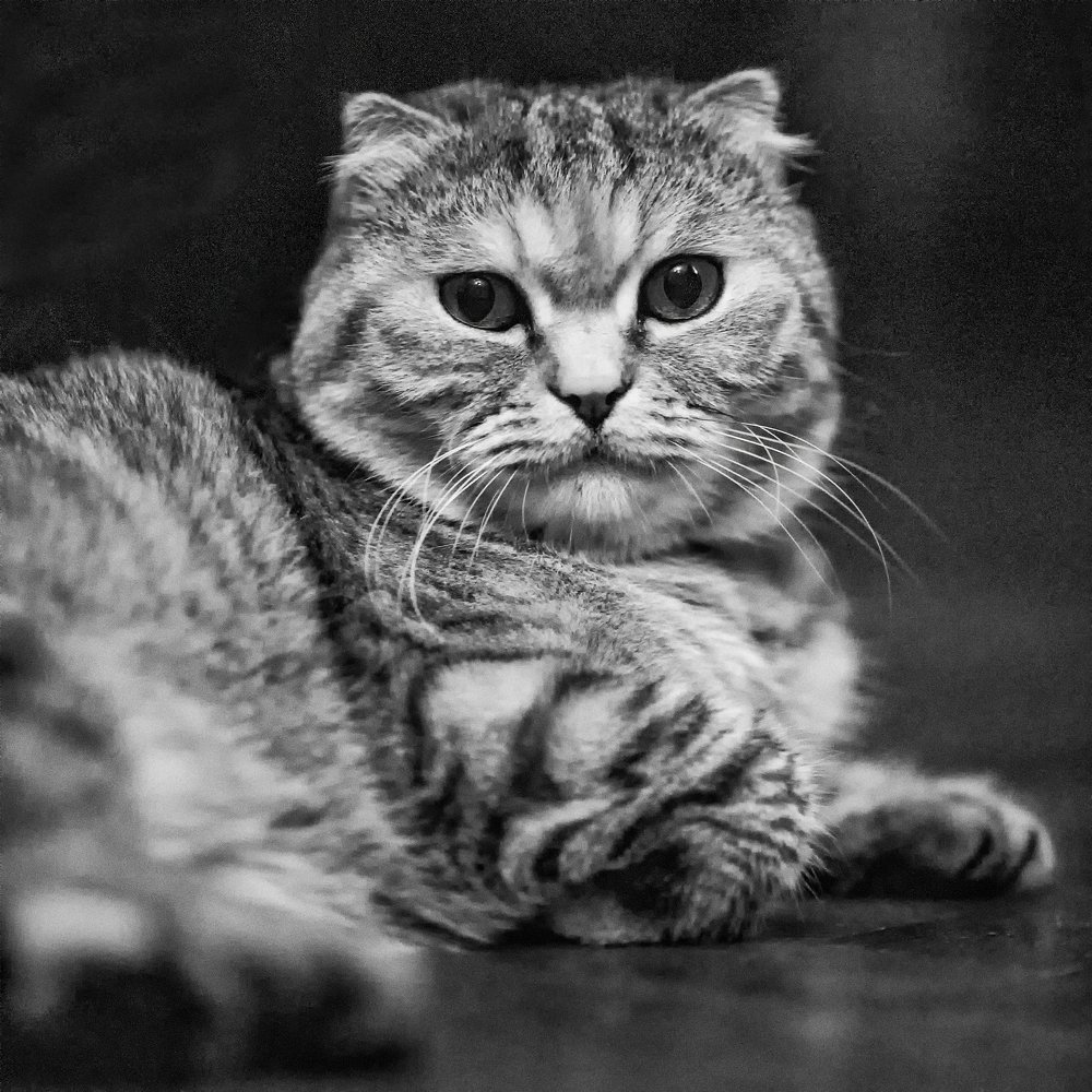 Photograph by Роман Приходько