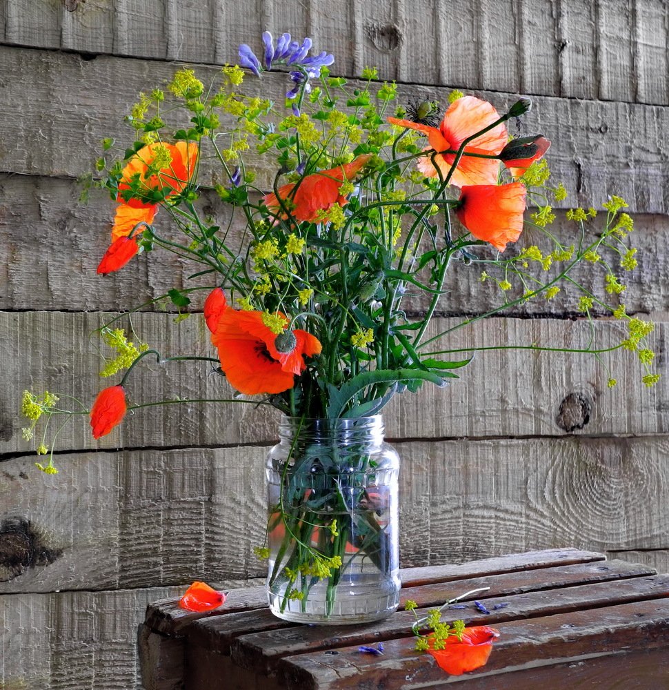 Полевые цветы.