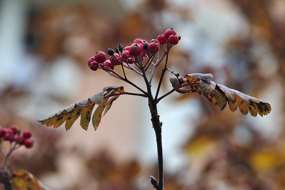Photograph by Евгений Беленков
