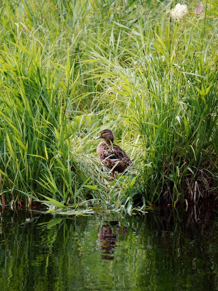 Photograph by Андрей Фёдоров