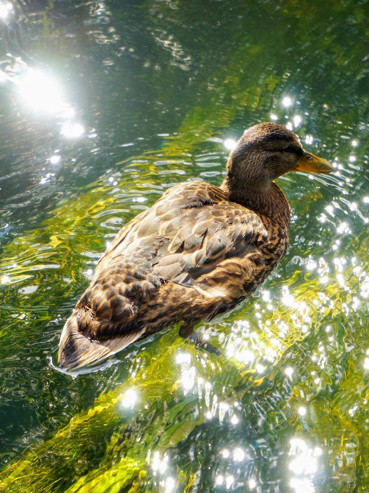 Photograph by Андрей Фёдоров