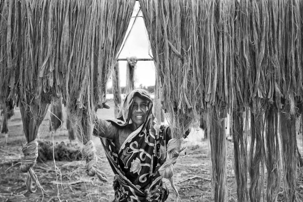 Photograph by Hridoy Hossain