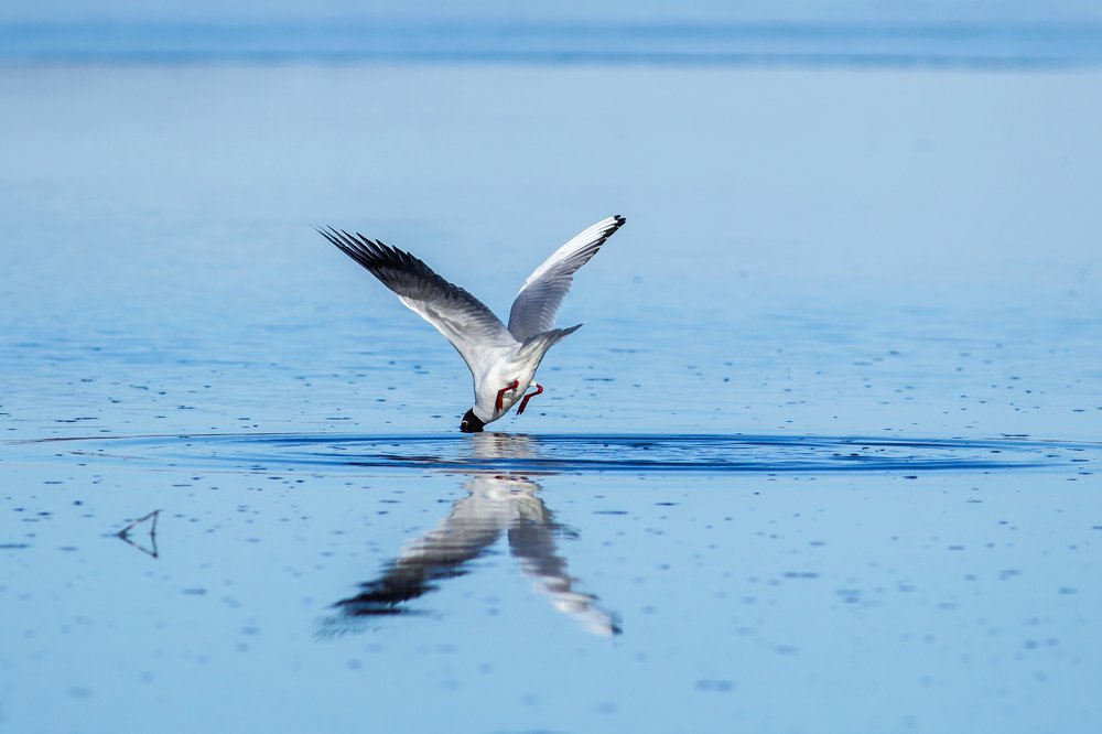 Фотография автора Vyacheslav Lozhkin