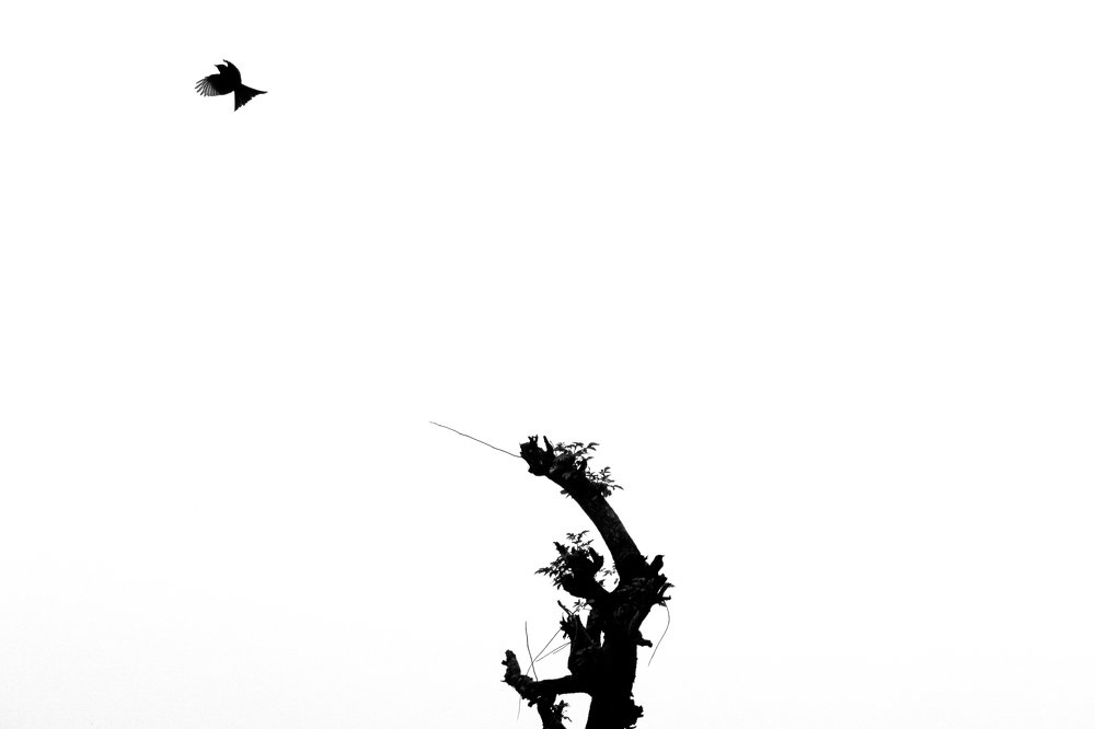 Photograph by Monoj Kumar Das