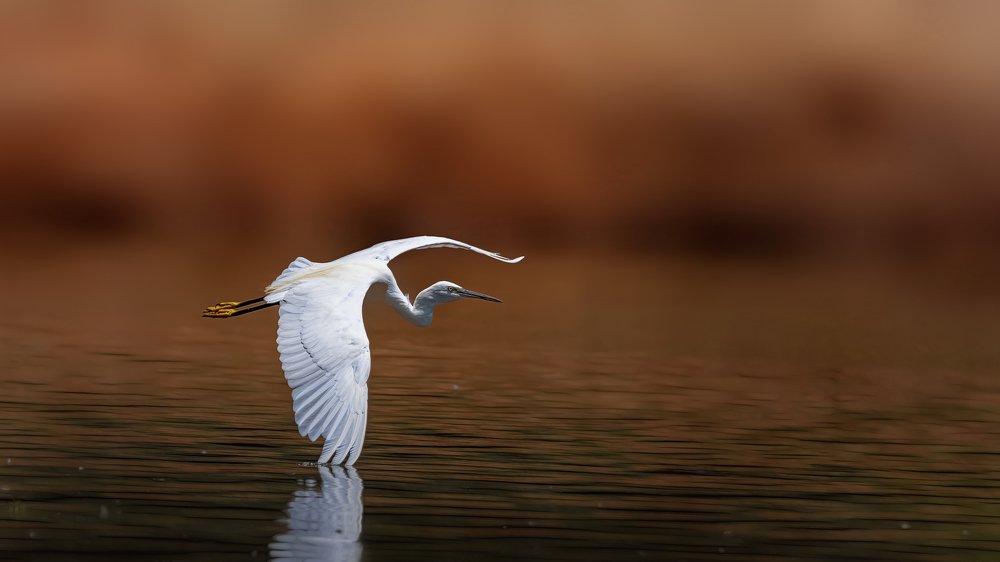 Photograph by Лея Лерер