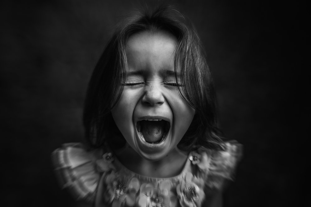 Фотография автора Holly Lund