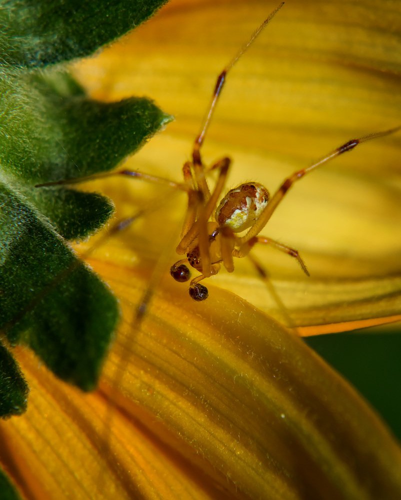 Photograph by Юрий Лисовой