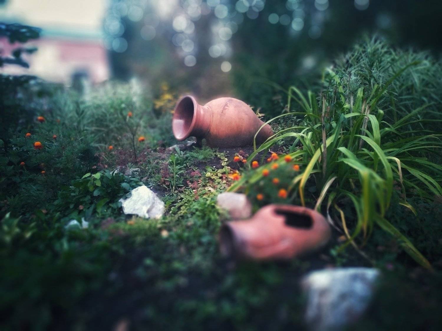 Fragment of the ancient world