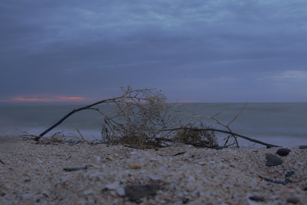 Photograph by Ольга Истомина