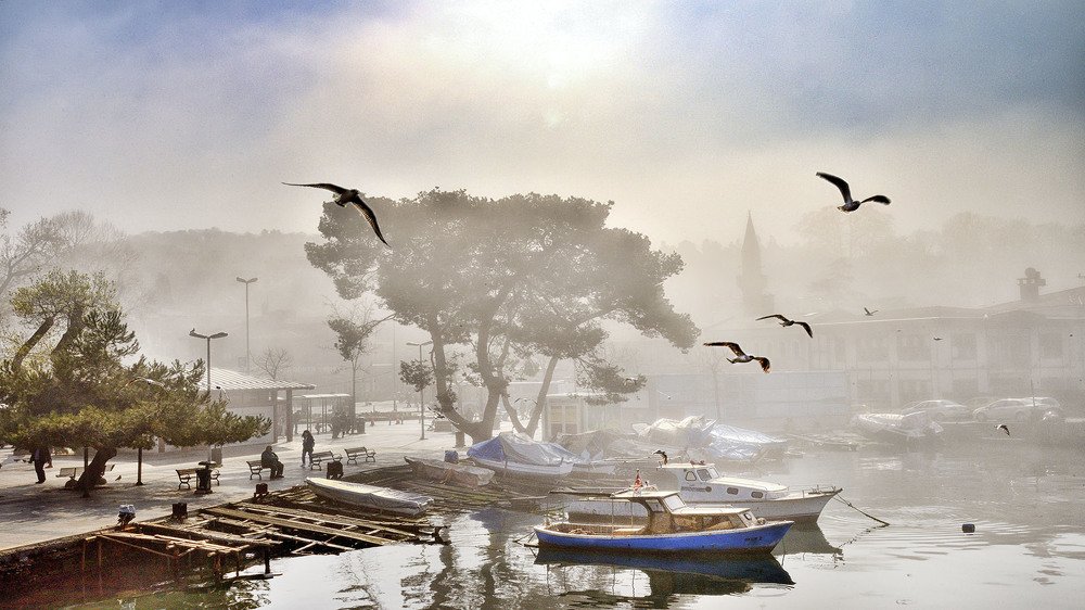 Photograph by Bekir Yesiltas